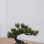 Apartment Daisy Sarajevo