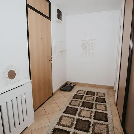 Daisy * Sarajevo