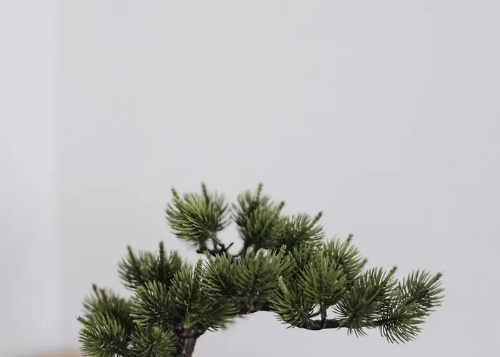 Apartment Daisy Sarajevo